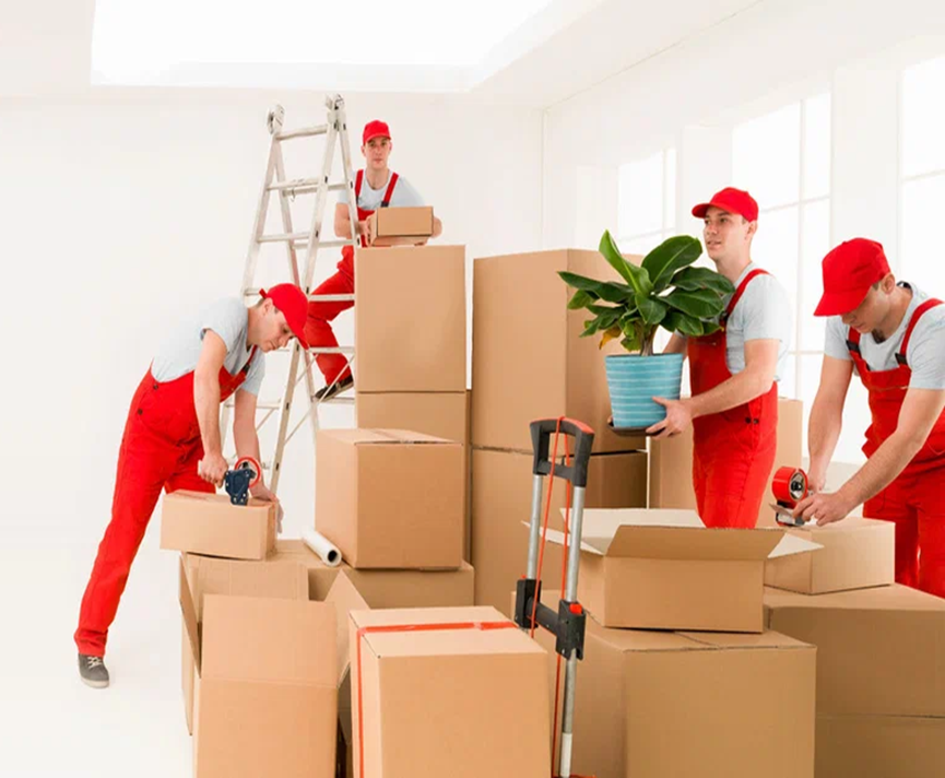 Professional-Movers-and-Packers-in-Dubai-w.png